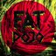 Fat Dojo