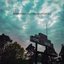 Forfeit - Single