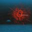 Exit Wound