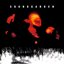 Superunknown (PBTHAL vinyl)