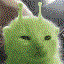 Avatar de allpacka