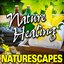 Nature Healing (Nature Sounds)