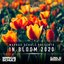 Global DJ Broadcast - In Bloom 2020