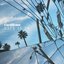 Back in L.A. - Single