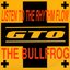 Listen to the Rhythm Flow / the Bullfrog