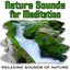 Nature Sounds for Meditation (Nature Sounds)