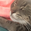 Avatar for elleniii1215