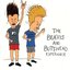 The Beavis and Butt-Head Experience