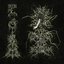 Sidereal Malignancy