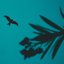 Fly Away