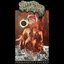Permanently Fucked - Single