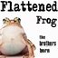 Flattened Frog