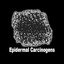 Epidermal Carcinogens
