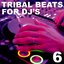 Tribal Beats for DJ's - Vol. 6