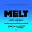 Melt (Benny Page Remix)