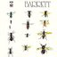 Barrett (Deluxe Version)