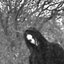 Avatar for Totalselfhated