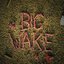 Big Wake
