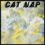 CAT NAP