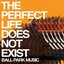 The Perfect Life Does Not Exist