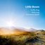 Little Boxes (feat. Adrienne Stiefel)