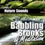 Babbling Brooks of Meditation (Nature Sound)