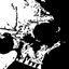 Dried Up Corpse
