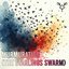Murmuration (The Starlings Swarm)