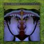 Frustrated - Single