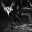 Black Mass: Ritual Holocaust