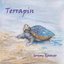 Terrapin - Single