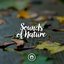 Sounds of Nature