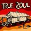 True Soul: Deep Sounds from the Left of Stax Vol. 1
