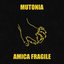 AMICA FRAGILE