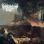 Avarice