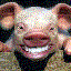 Avatar de claytonf