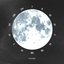 fortnight - Single