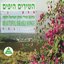 Beautiful Israeli Songs, Vol. 3