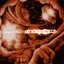 Absolute Mortality #2