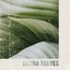 Feuille