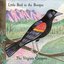 Little Bird in the Bosque