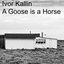 A Goose is a Horse