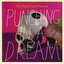 Punching In A Dream - Single