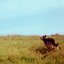 Long Way Home - Single