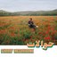 Hawalat (Habibi Funk 030) [Bonus Edition]