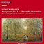 Nielsen, L.: Symphony No. 1 / From the Mountains