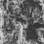 MARBLED BARK