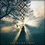 The Dying Light