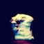 Fractures