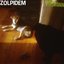 Zolpidem
